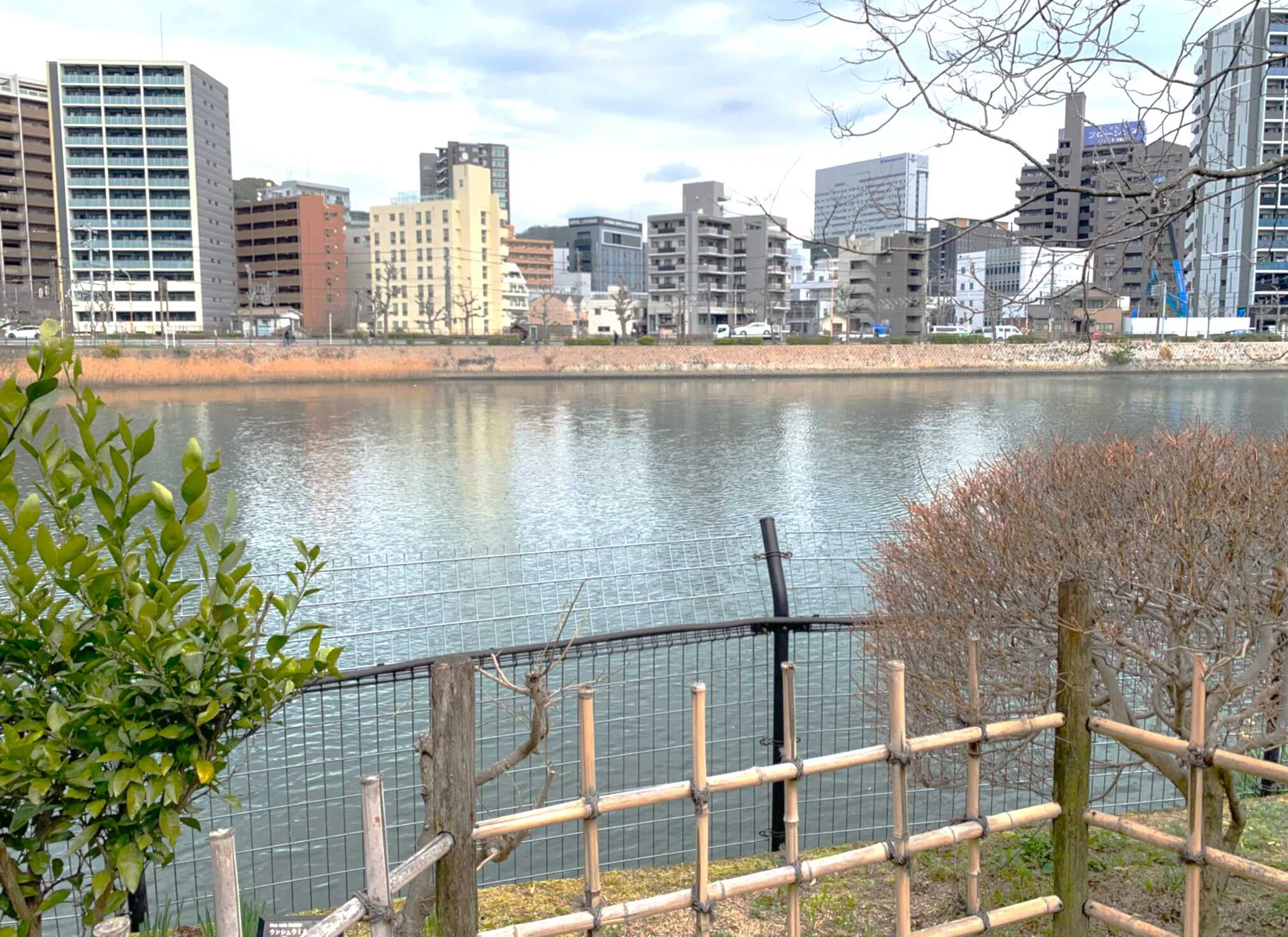 広島 縮景園 薬草園付近からの京橋川