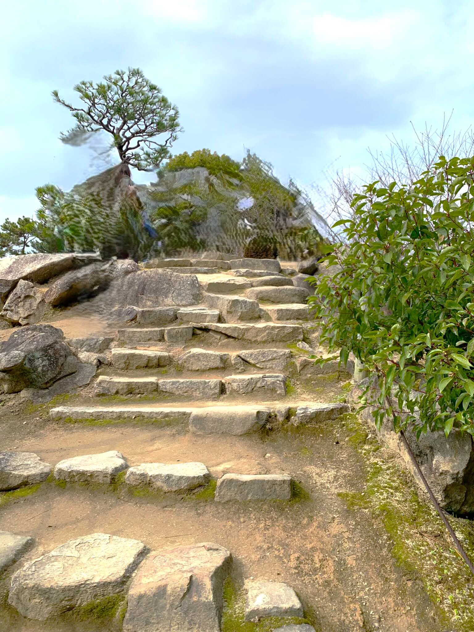 広島 縮景園 迎暉峰