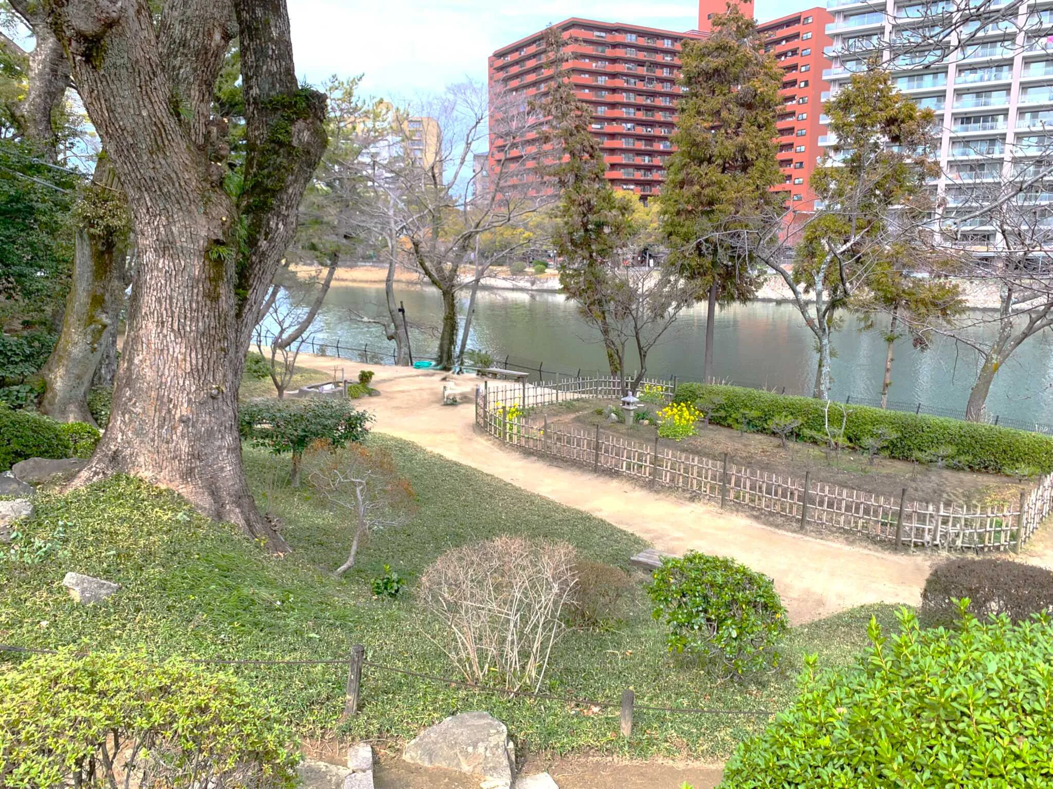 広島 縮景園 迎暉峰北側(京橋川側)・香菜圃付近