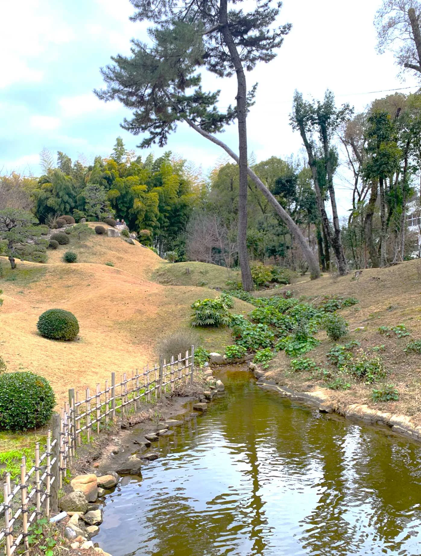 広島 縮景園 有年場付近からの迎暉峰