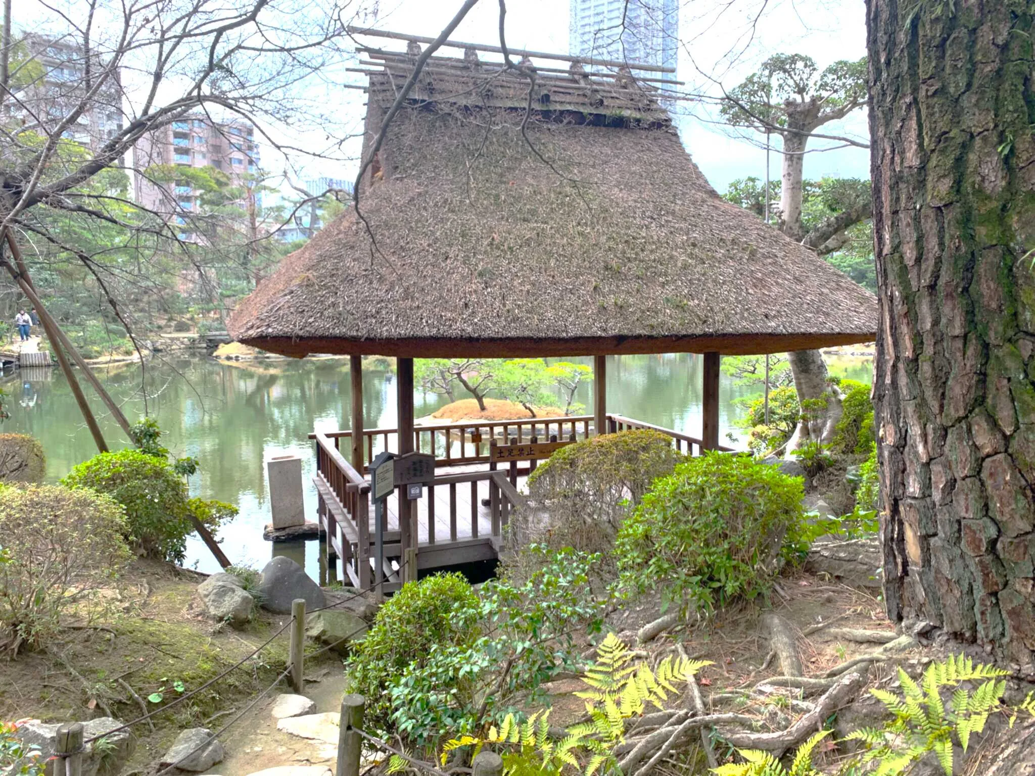 広島 縮景園 悠々亭