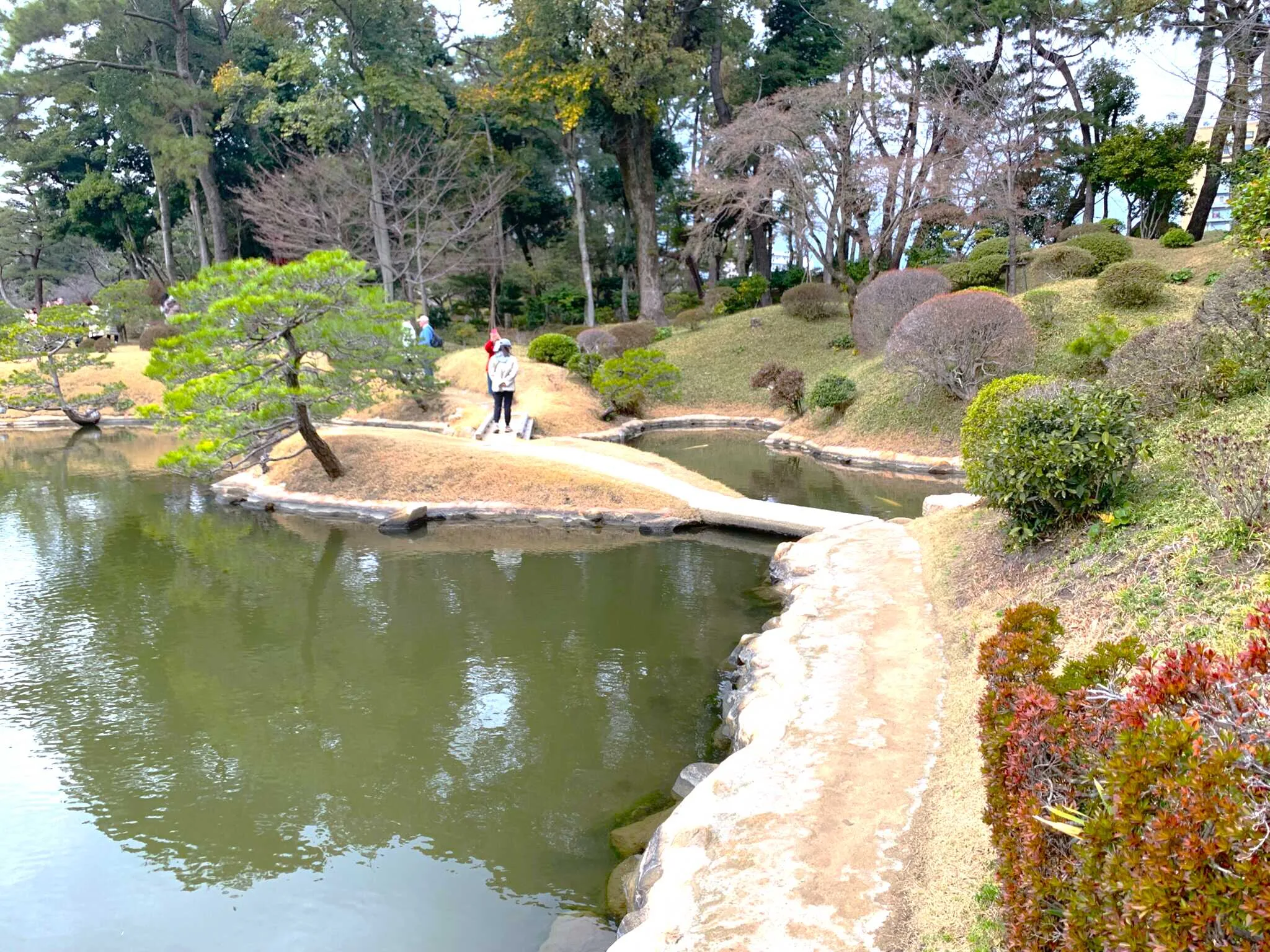 広島 縮景園 悠々亭の少し西側からの濯纓池