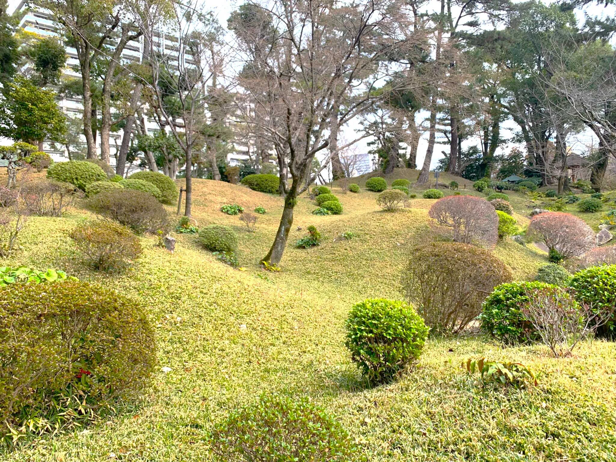 広島 縮景園 悠々亭付近からの景色