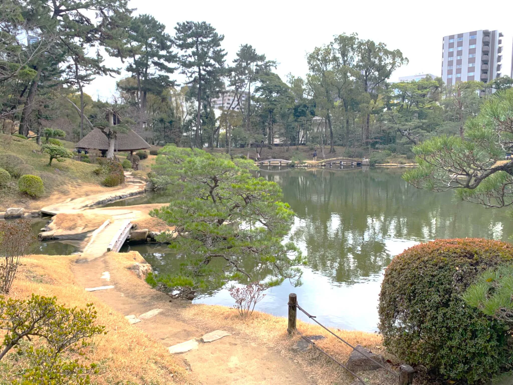 広島 縮景園 悠々亭付近からの景色