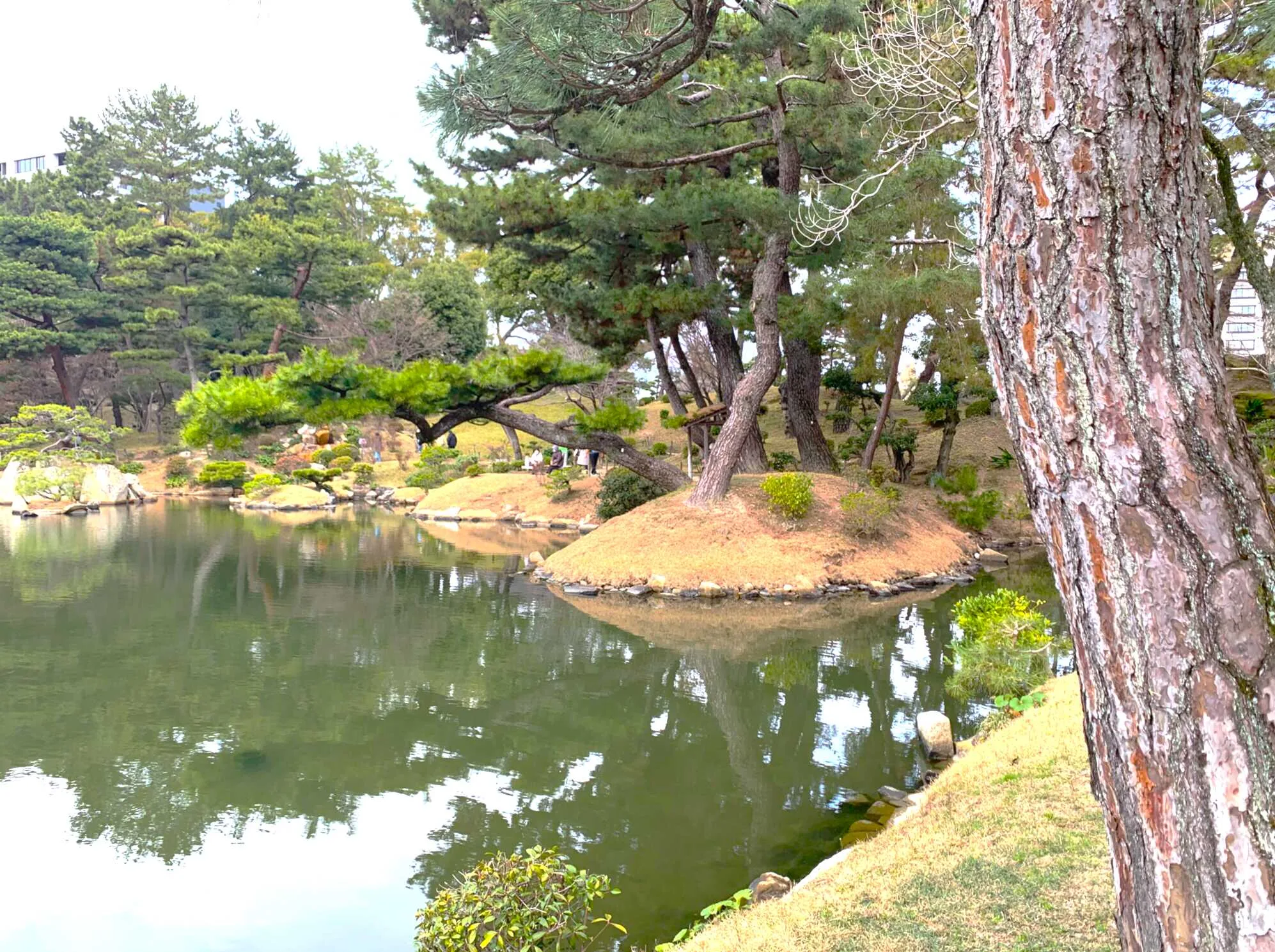 広島 縮景園 濯纓池(跨虹橋北側付近から)