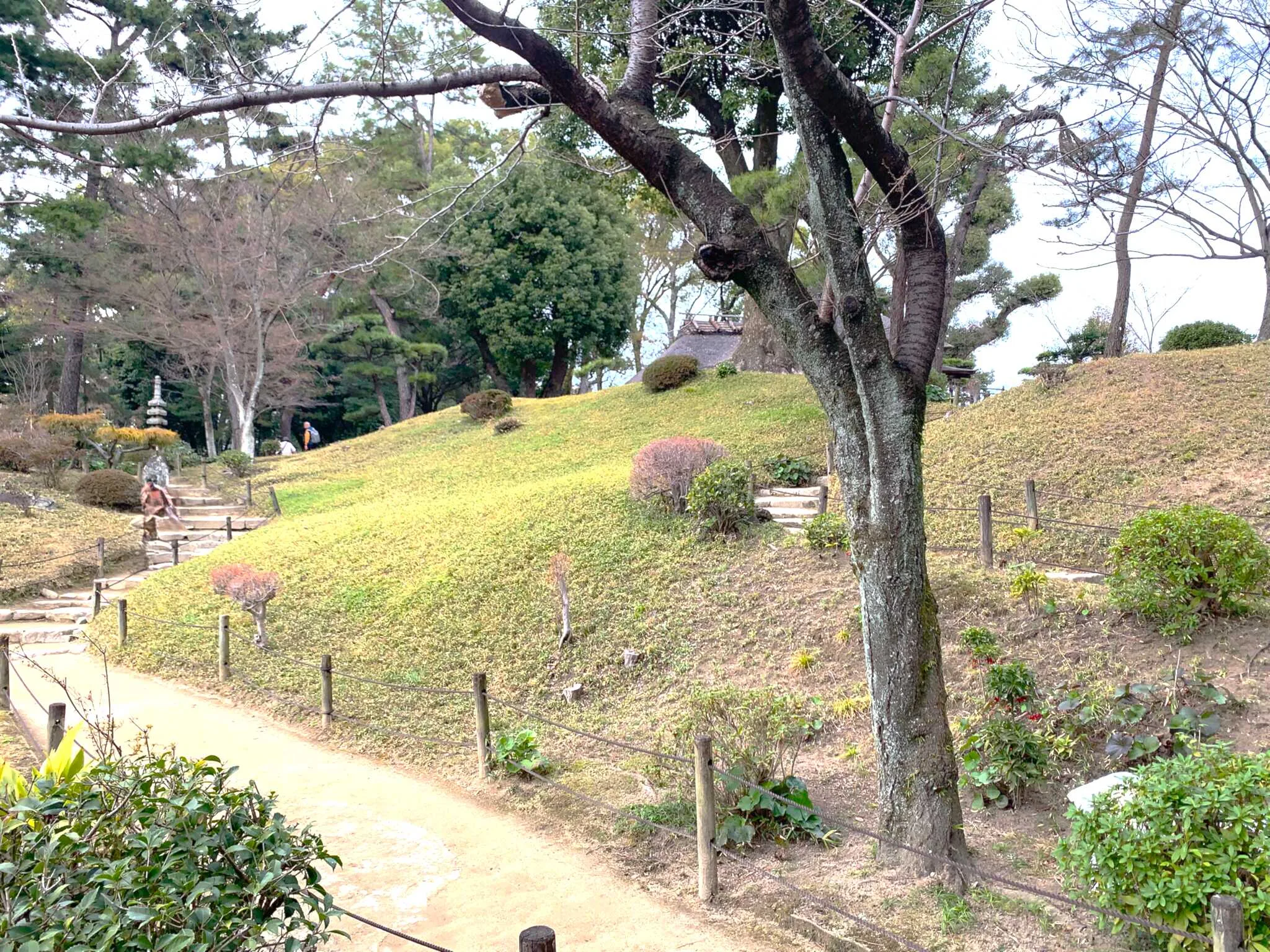 広島 縮景園木製橋(踏雲橋?)付近より