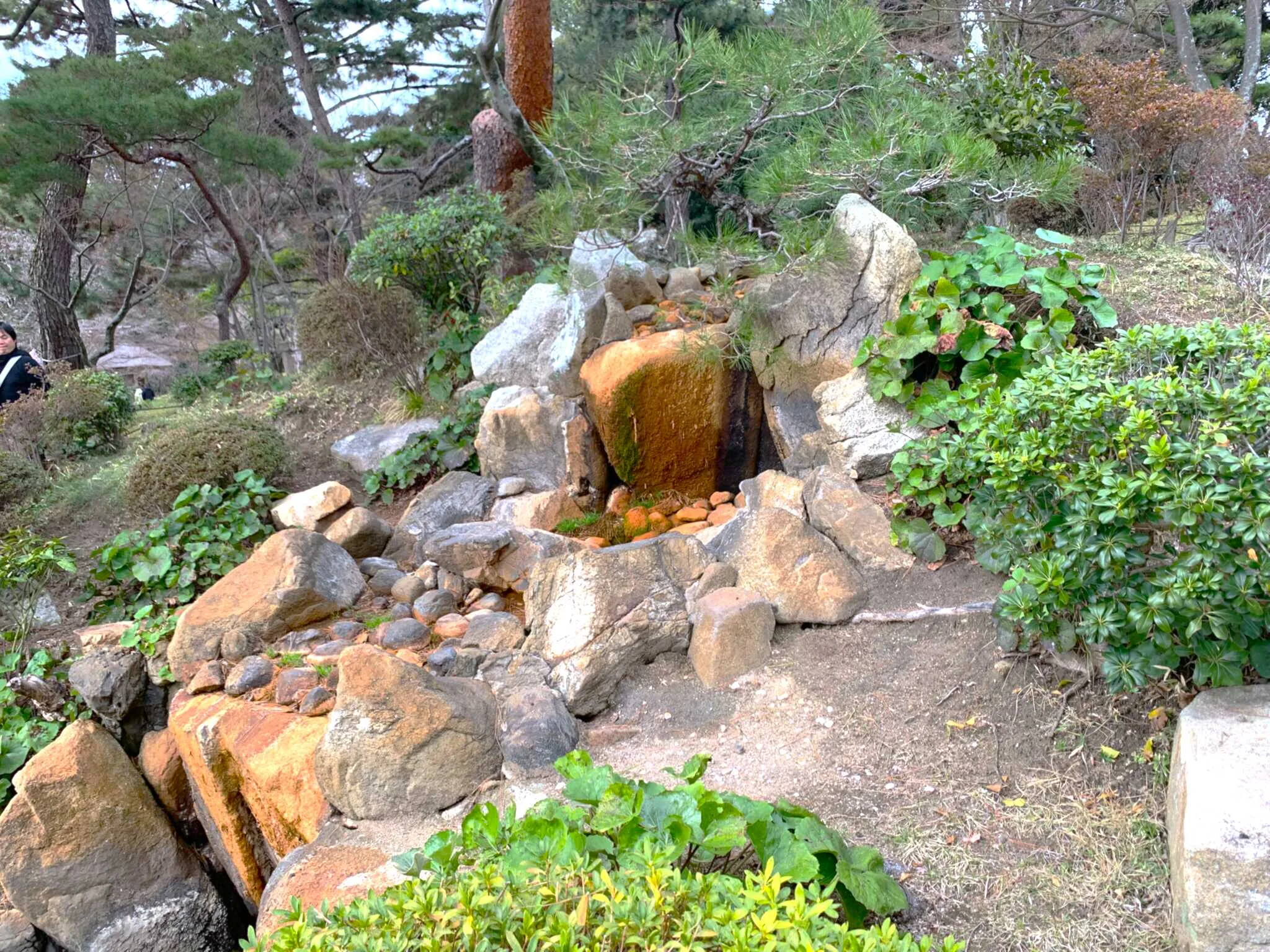 広島 縮景園・白龍泉