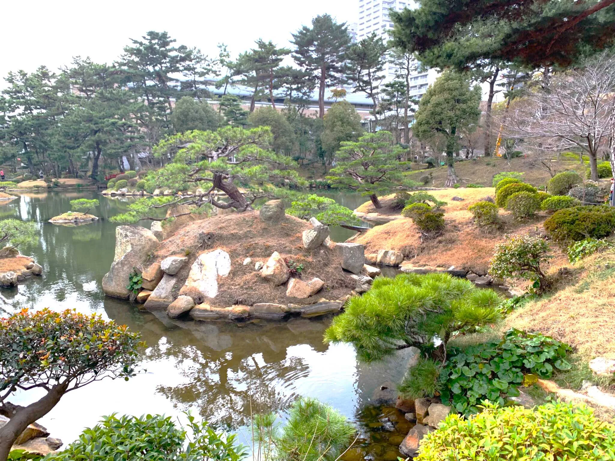 広島 縮景園・白龍泉付近より