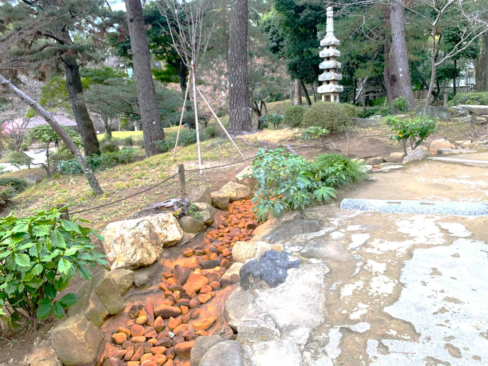 広島 縮景園・白龍泉
