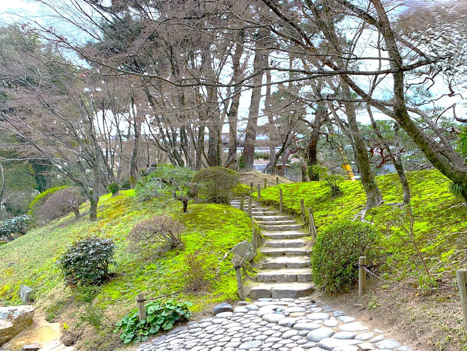 広島 縮景園・濯纓池西の浜洲からの景色