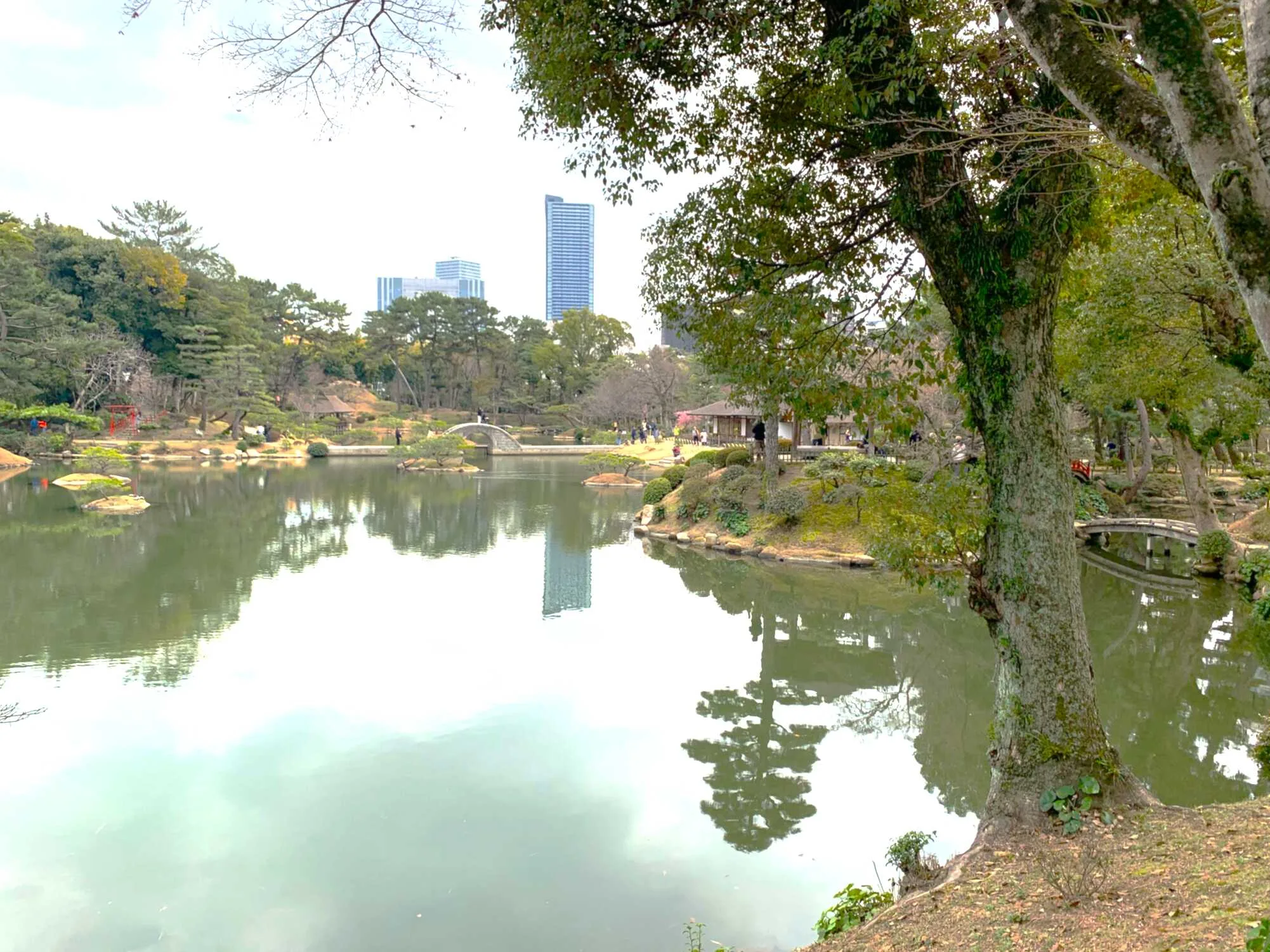 広島 縮景園・濯纓池西からの景色