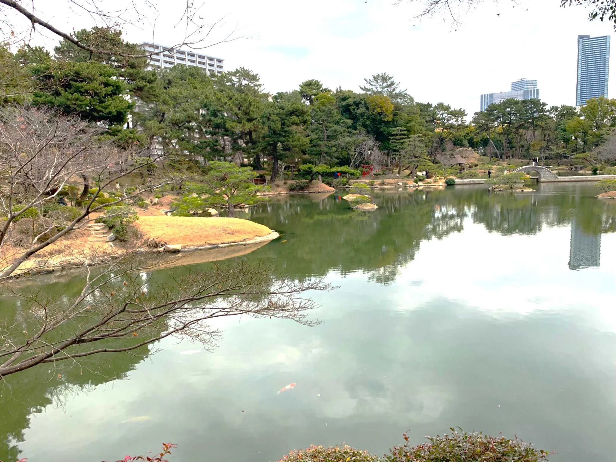 広島 縮景園・濯纓池西からの景色