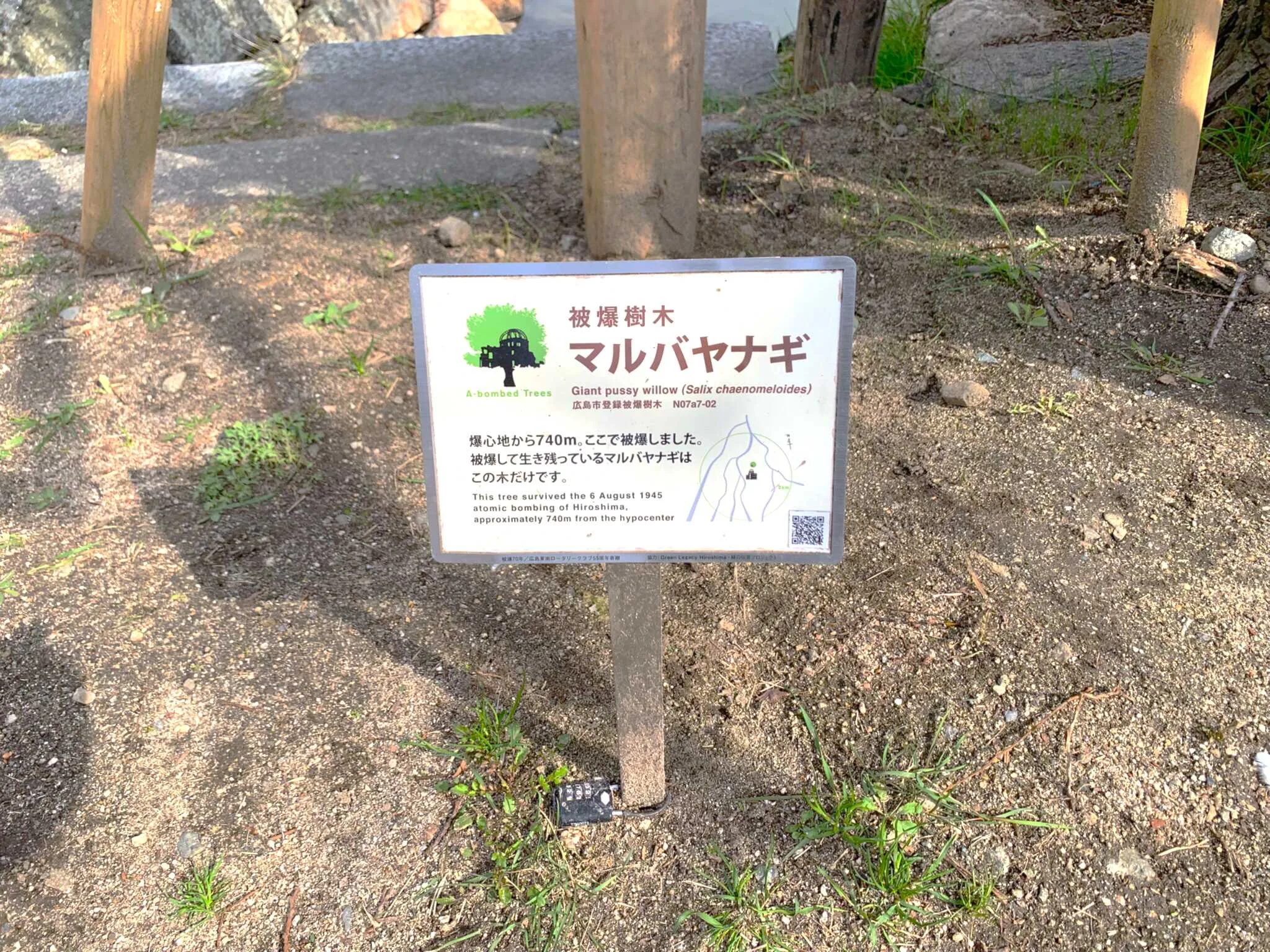 広島城 中御門跡の被爆樹木