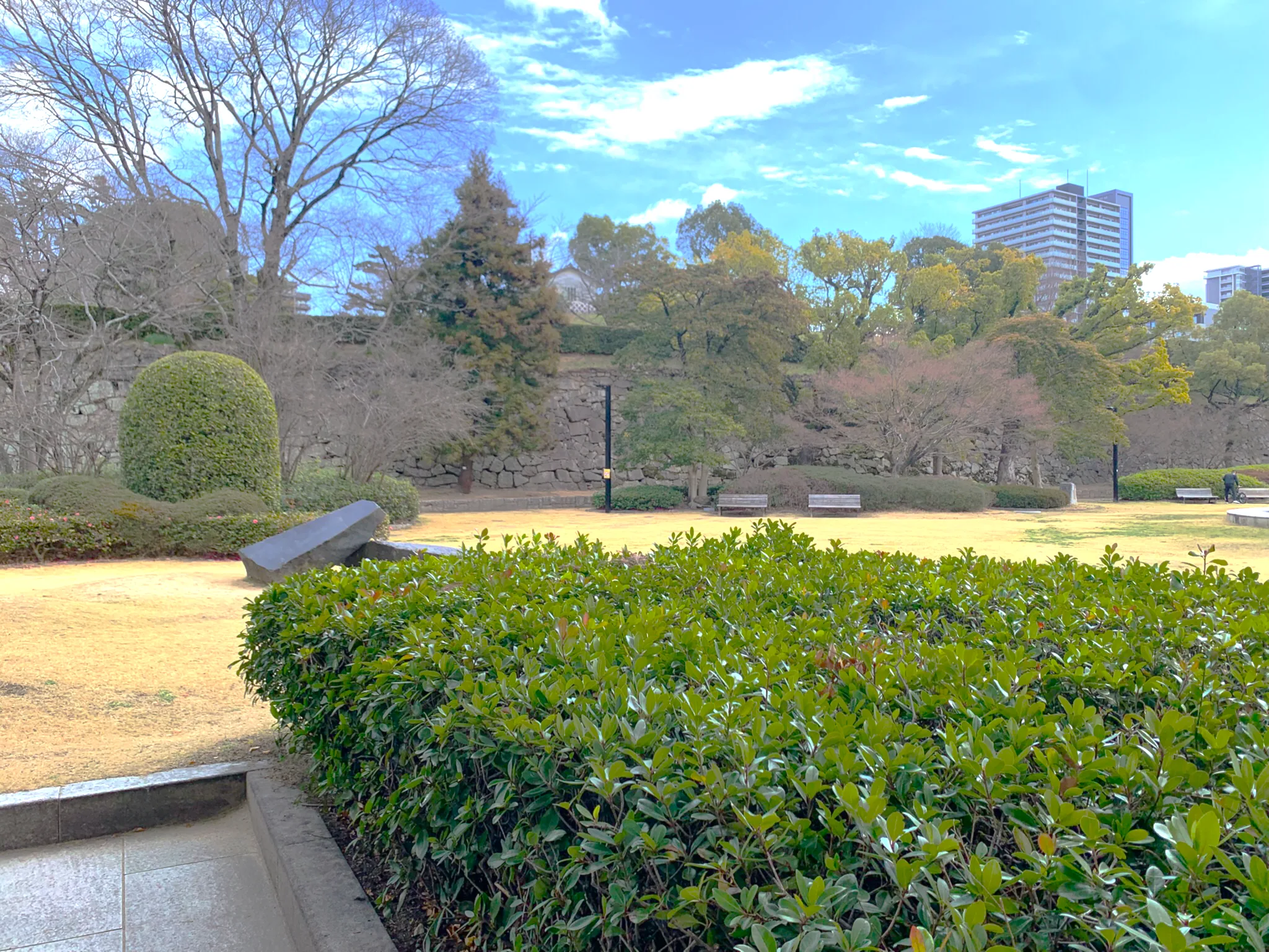 福山城 ふくやま美術館付近から城郭東面の石垣