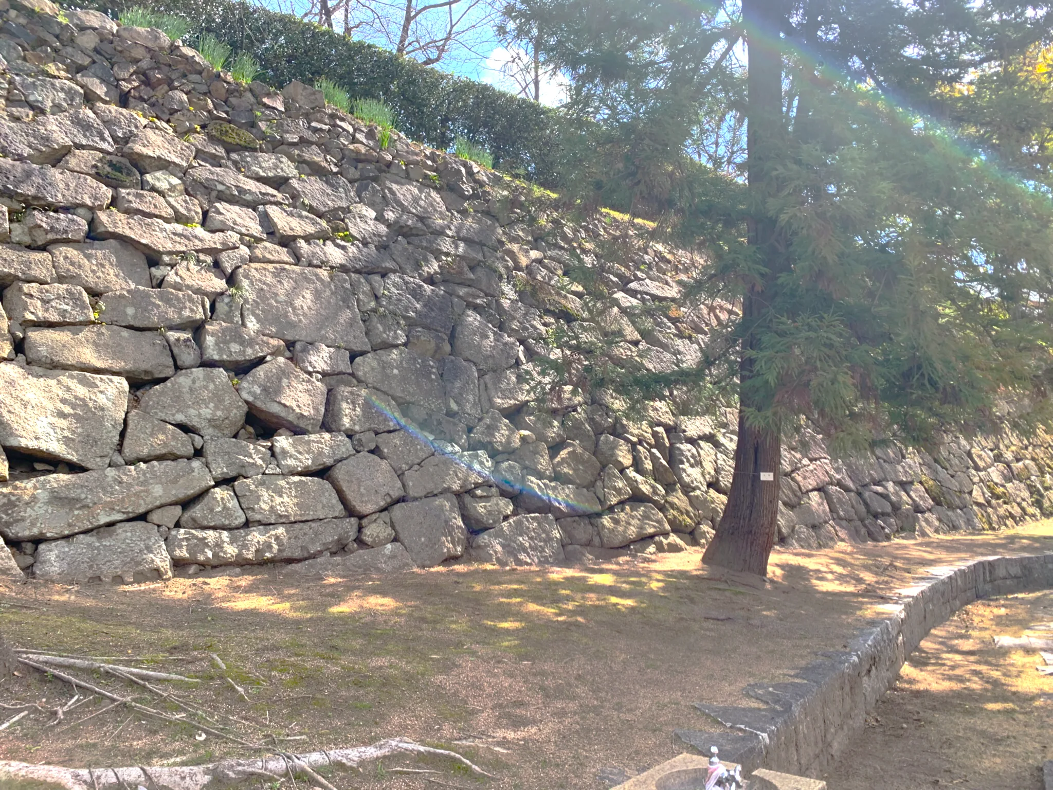 福山城 ふくやま美術館付近から城郭東面の石垣
