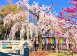 街道シリーズ・川越児玉往還④₋1(慈眼寺)