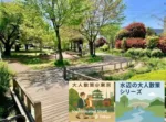水辺の大人散策シリーズ　野火止用水