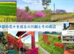 大人目線で川越を満喫シリーズ 季節の花々ポタリング