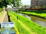 水辺の大人散策シリーズ　野川・国分寺崖線