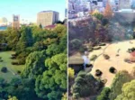 リーガロイヤルホテル東京からの大熊庭園の眺め