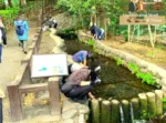 野川・国分寺崖線 武蔵国分寺