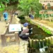 野川・国分寺崖線 武蔵国分寺