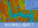 氷川神社と稲作