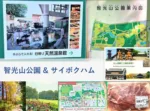大人目線で川越を満喫シリーズ 智光山・サイボク
