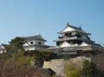 松山城(伊予国)