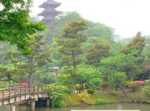 横浜シリーズ　横浜　三渓園